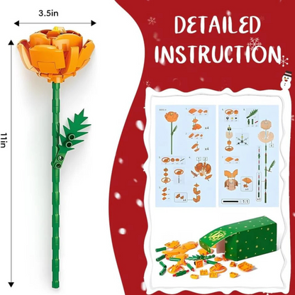 Wandaura™ Advent Calendar