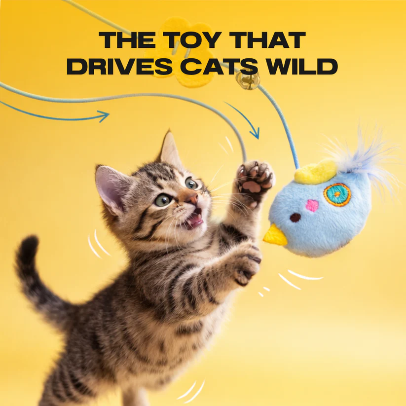 Wandaura™ YoYo Toy – that drives cats wild